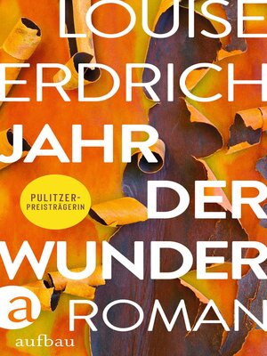 cover image of Jahr der Wunder